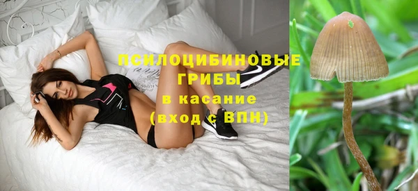 a pvp Абдулино