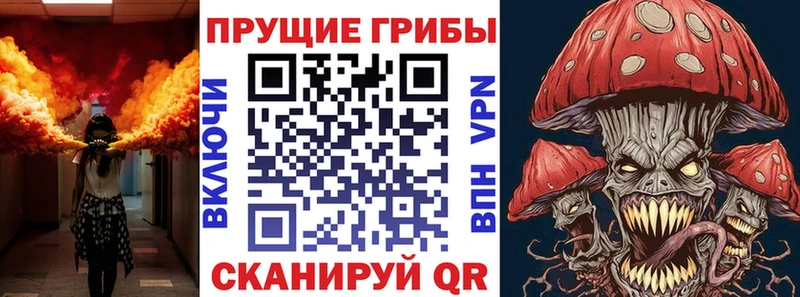 Галлюциногенные грибы ЛСД  даркнет официальный сайт  Нестеровская 